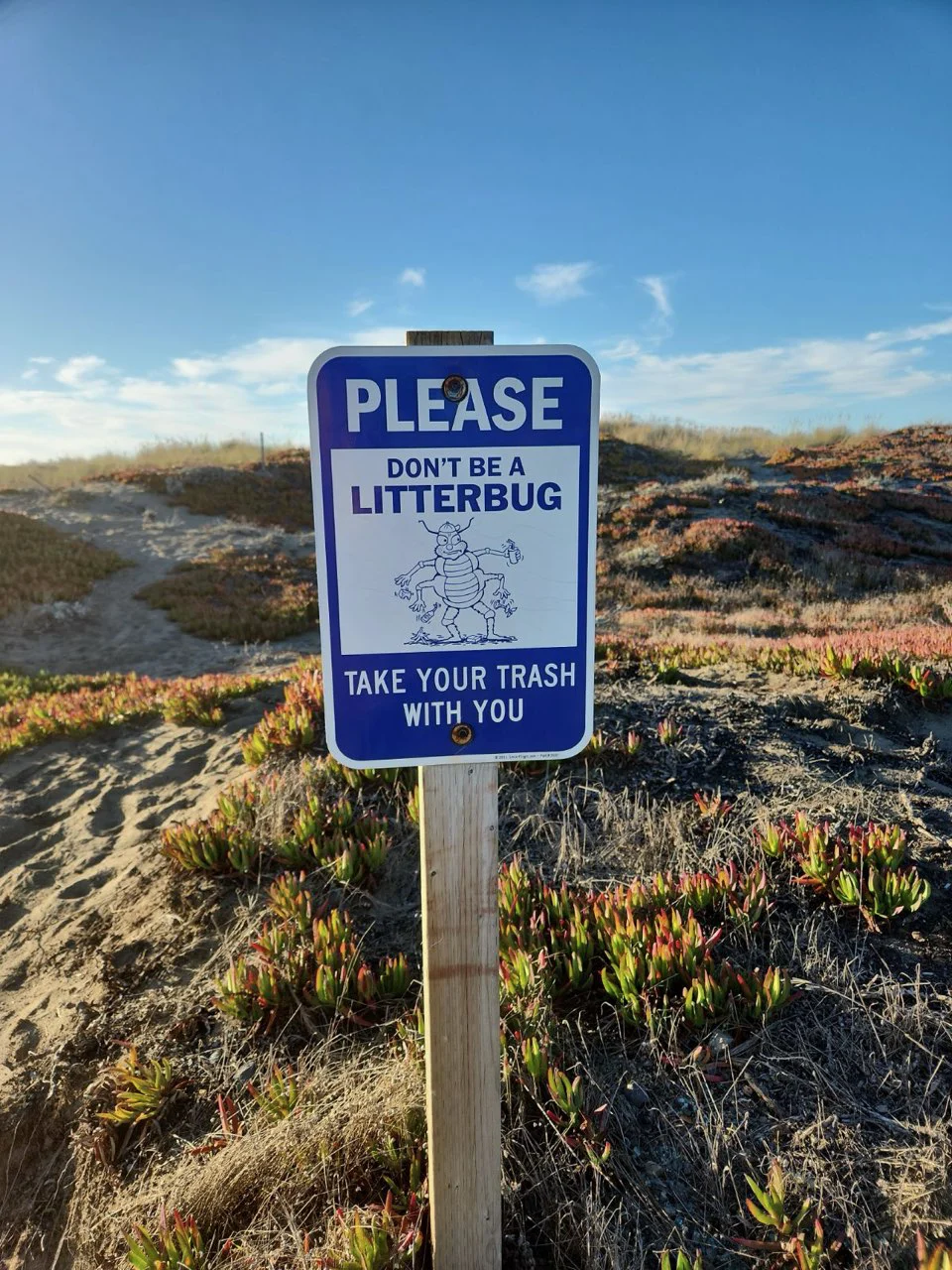 Don't be a litterbug